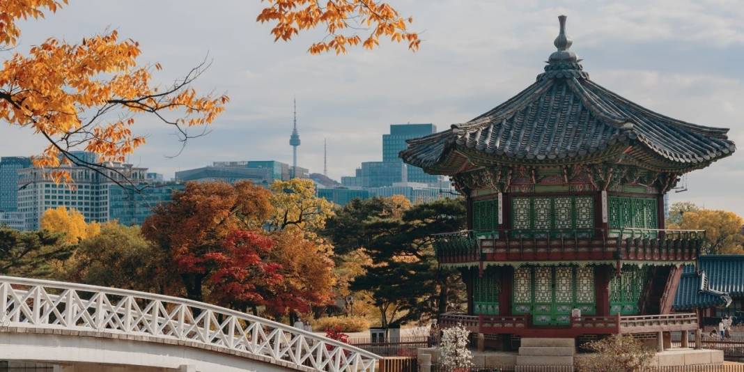 Türkiye 1 milyarlık ülkeyi geçti, ilk sırada! Ama bakın neyde! 8